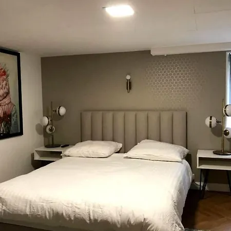 Beautiful Deluxe Room In Ouderkerk Apartment *